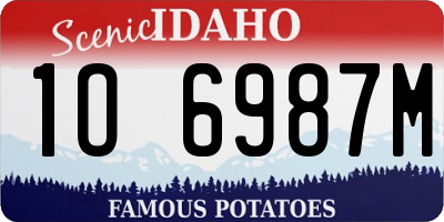 ID license plate 1O6987M