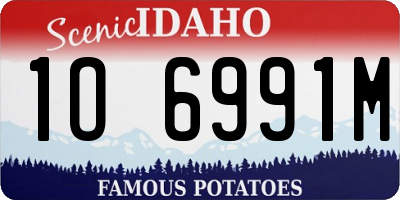 ID license plate 1O6991M
