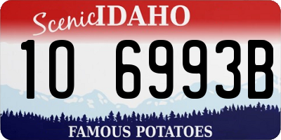 ID license plate 1O6993B