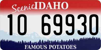 ID license plate 1O6993O