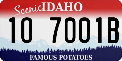 ID license plate 1O7001B