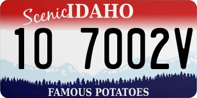 ID license plate 1O7002V