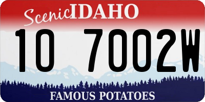 ID license plate 1O7002W
