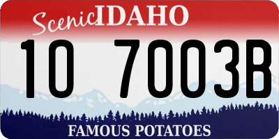 ID license plate 1O7003B