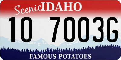 ID license plate 1O7003G