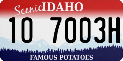 ID license plate 1O7003H