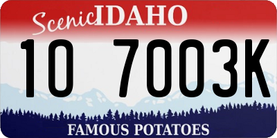 ID license plate 1O7003K
