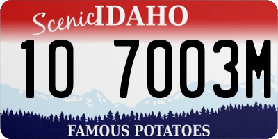 ID license plate 1O7003M