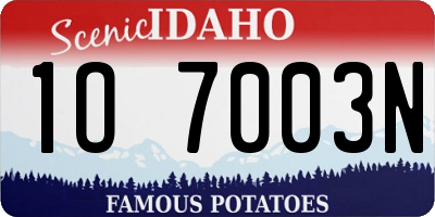 ID license plate 1O7003N