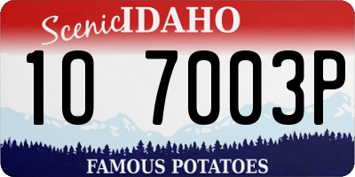 ID license plate 1O7003P