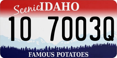 ID license plate 1O7003Q
