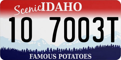 ID license plate 1O7003T