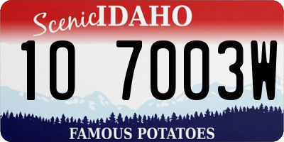 ID license plate 1O7003W