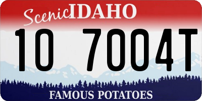 ID license plate 1O7004T