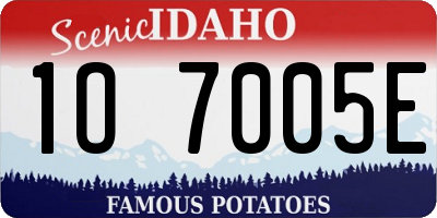 ID license plate 1O7005E