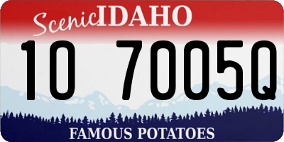 ID license plate 1O7005Q