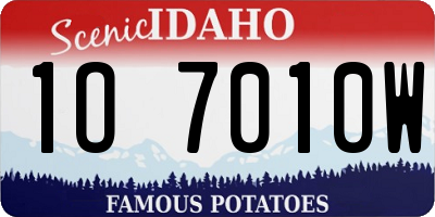 ID license plate 1O7010W
