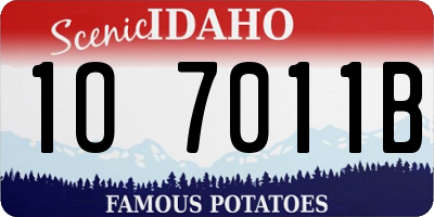 ID license plate 1O7011B