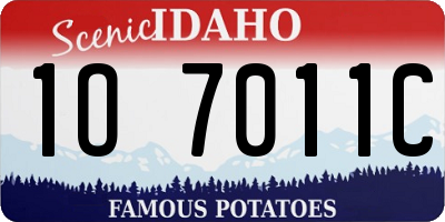 ID license plate 1O7011C