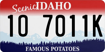 ID license plate 1O7011K