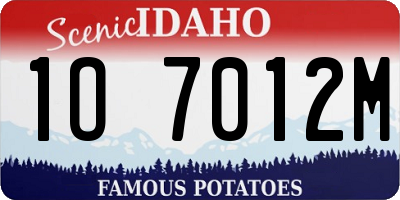 ID license plate 1O7012M