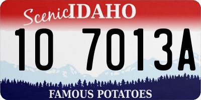 ID license plate 1O7013A
