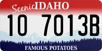 ID license plate 1O7013B