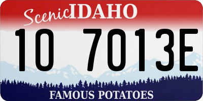 ID license plate 1O7013E