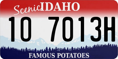 ID license plate 1O7013H