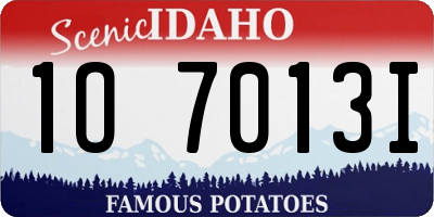 ID license plate 1O7013I