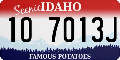 ID license plate 1O7013J