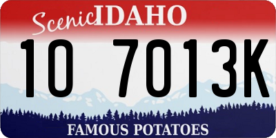 ID license plate 1O7013K