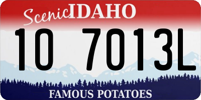 ID license plate 1O7013L