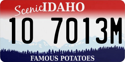 ID license plate 1O7013M