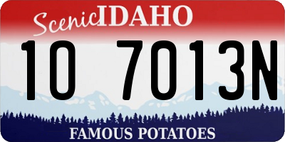 ID license plate 1O7013N
