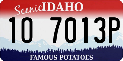 ID license plate 1O7013P