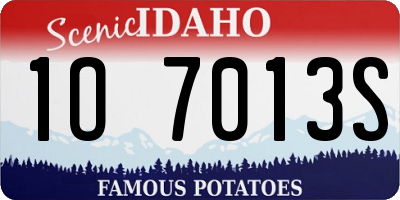 ID license plate 1O7013S