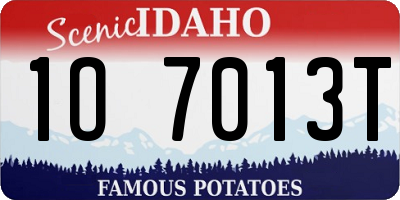 ID license plate 1O7013T