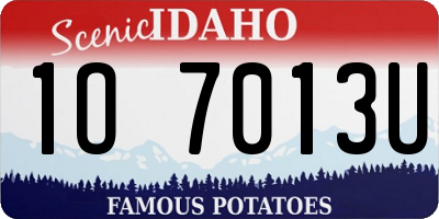 ID license plate 1O7013U
