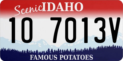 ID license plate 1O7013V