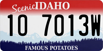 ID license plate 1O7013W