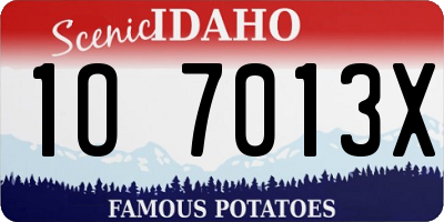 ID license plate 1O7013X