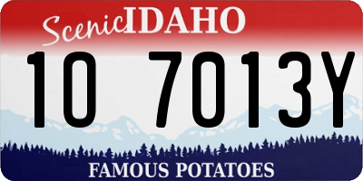 ID license plate 1O7013Y
