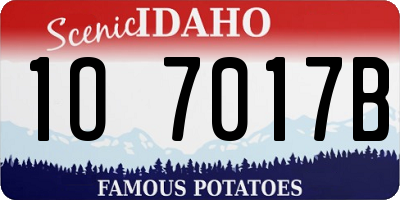 ID license plate 1O7017B