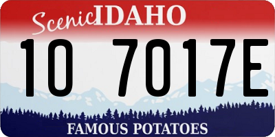 ID license plate 1O7017E