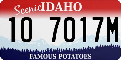 ID license plate 1O7017M