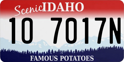 ID license plate 1O7017N