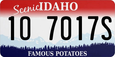 ID license plate 1O7017S