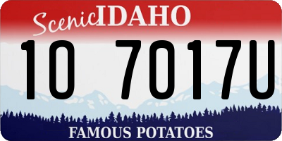 ID license plate 1O7017U