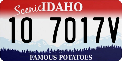 ID license plate 1O7017V